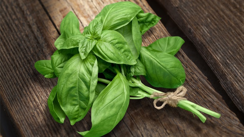 Bunch of fresh basil