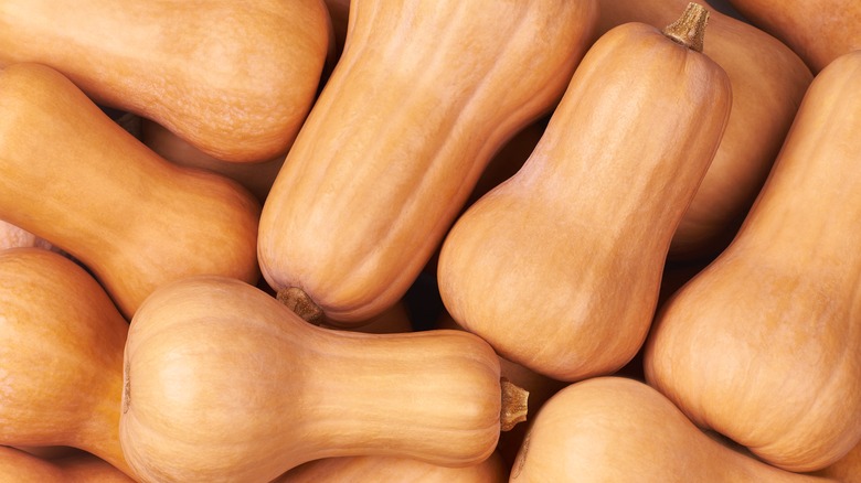 a pile of squash