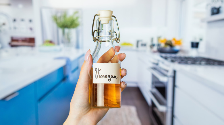 hand holding glass bottle of white vinegar in kitchen