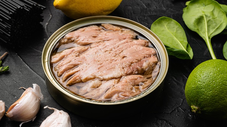 Gourmet canned tuna